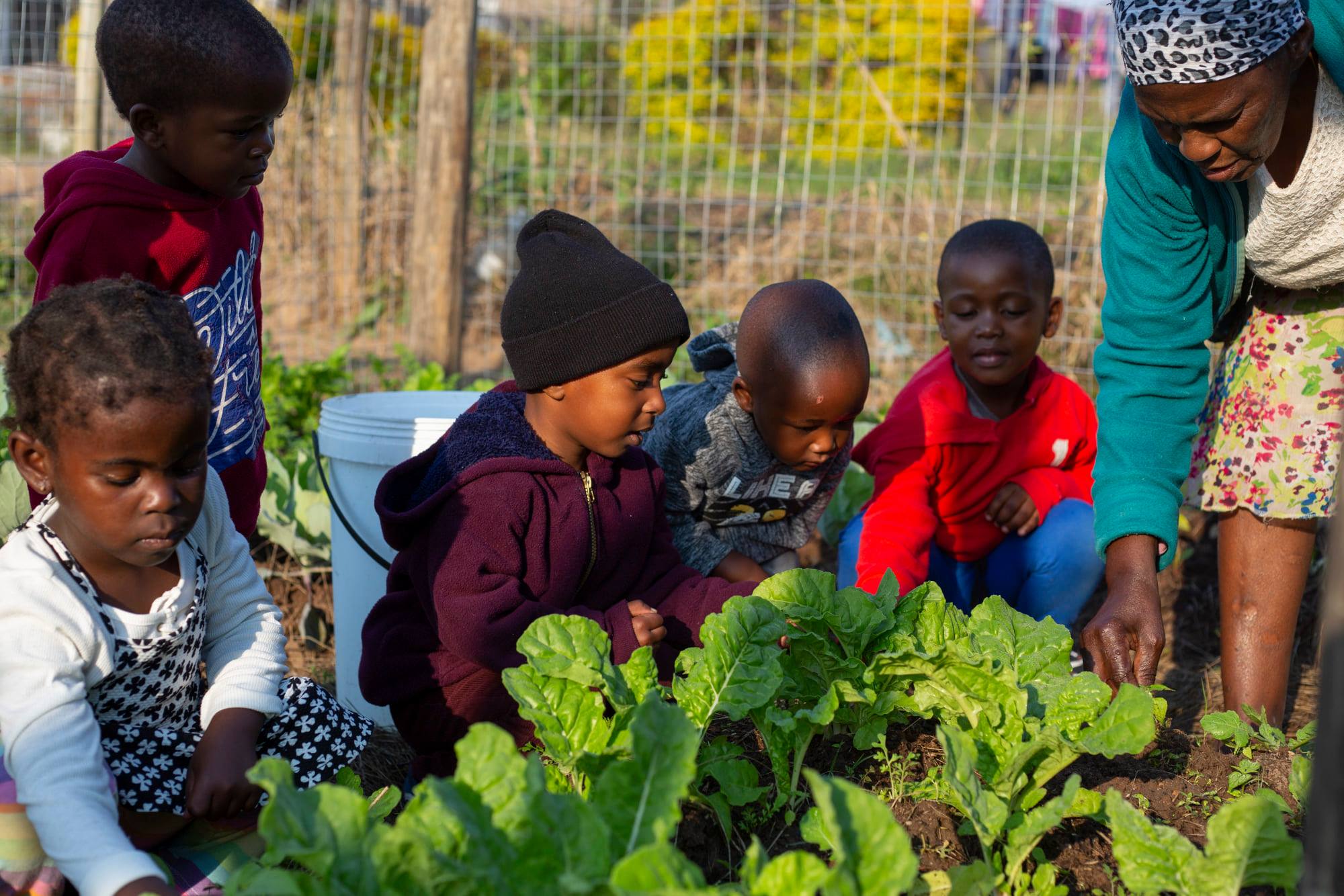 Children and an adult woman tend to leafy greens in a community garden, showcasing involvement in gardening and teamwork.