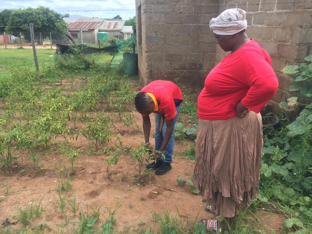 A child in a red shirt carefully tends to plants in a garden, while a woman in a matching red shirt observes, surrounded by greenery and structures.
