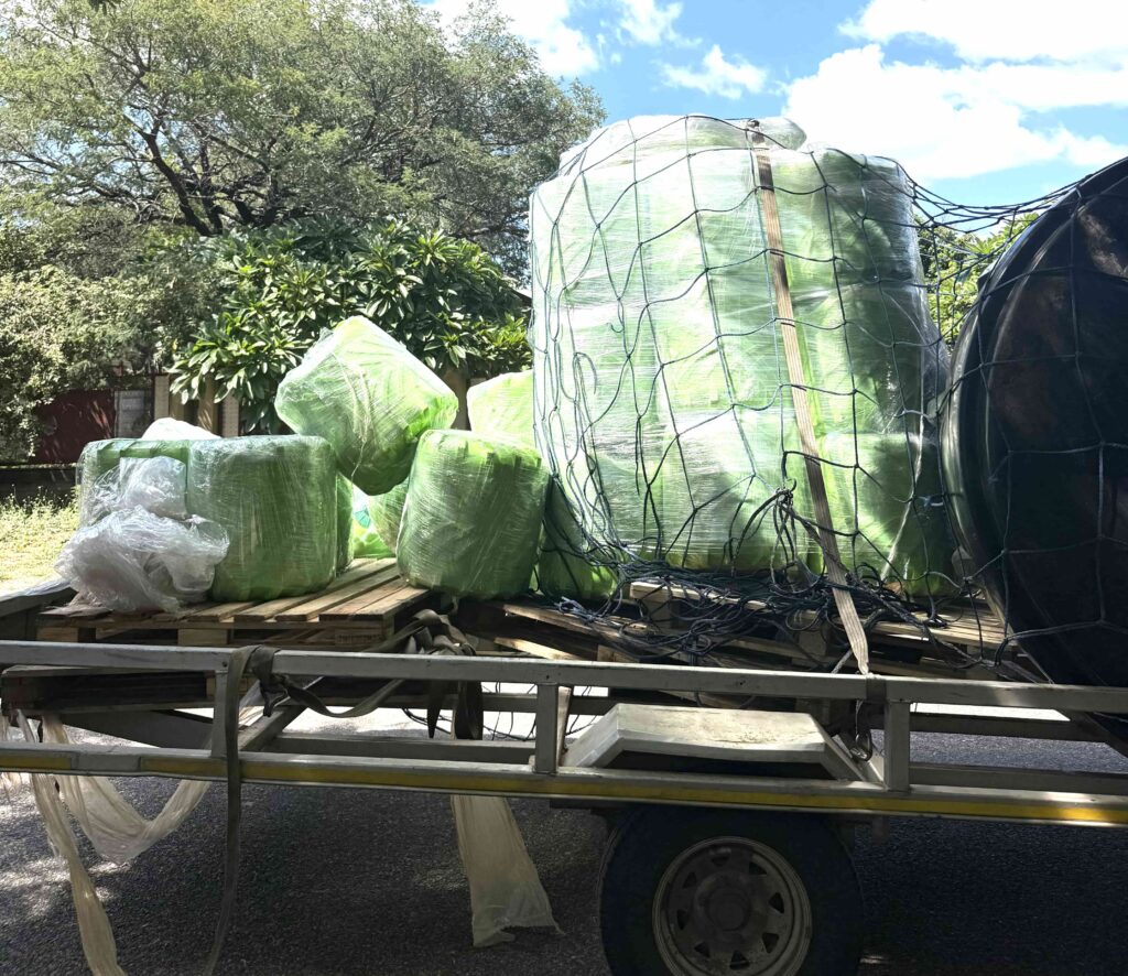 Bundled green hay bales wrapped in plastic are stacked on a trailer, secured with a net, under a clear blue sky. This image illustrates agricultural transportation.